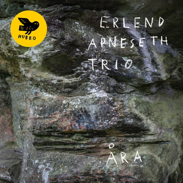 Erlend Apneseth trio