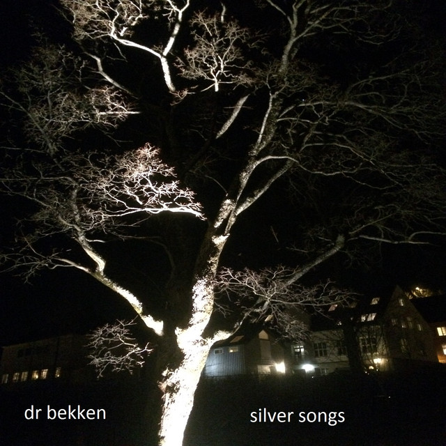 Dr Bekken - Silver Songs