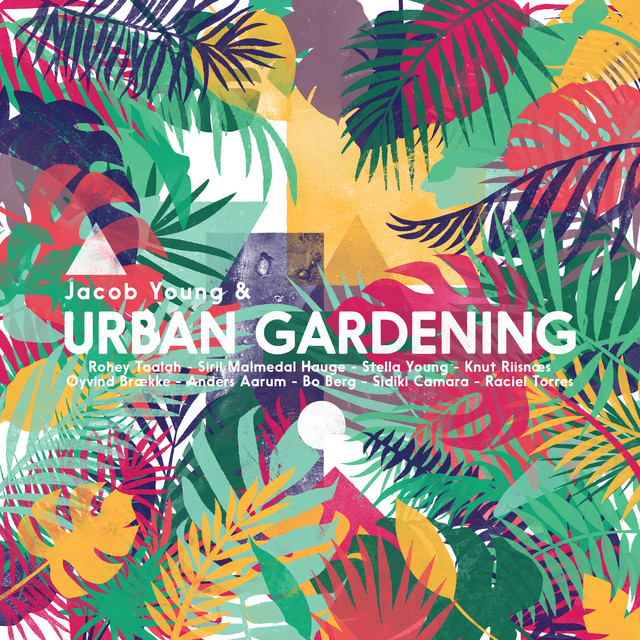 Jacob Young & Urban Gardening