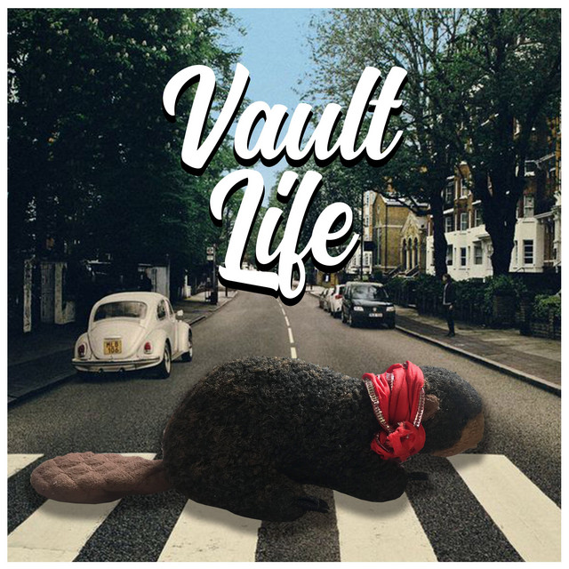 Vault Life