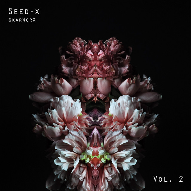 SEED-X Vol. 2