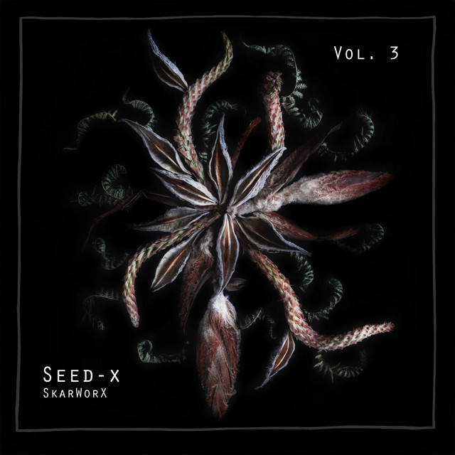 SEED-X Vol. 3
