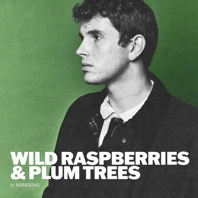 Wild Raspberries & Plum Trees